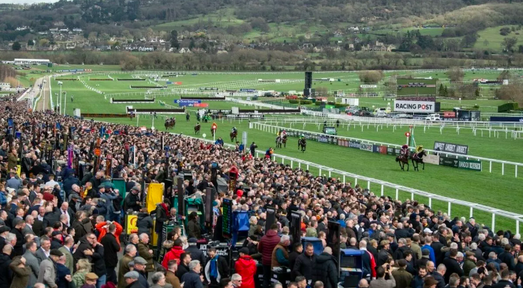 Punter’s £5 Bet Yields £55,000 Windfall at Cheltenham Festival